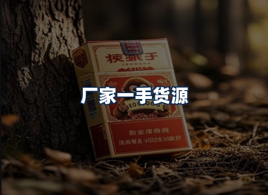专业团队办公环境